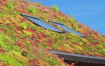 Loddiswell living roof systems