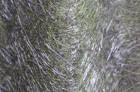 Loddiswell fibreglass roof work